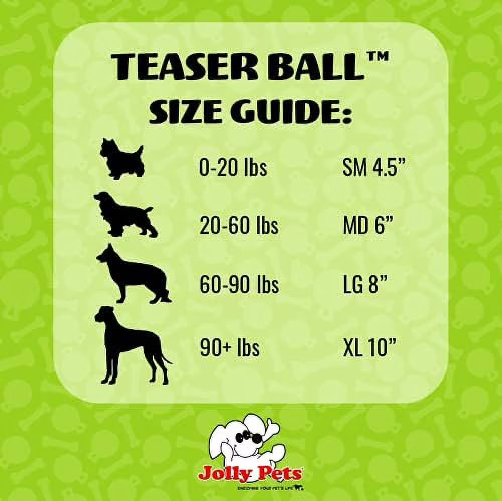 Teaser Ball 6 Inch Blue Hard Plastic plus Squeaker Toy for Dogs
