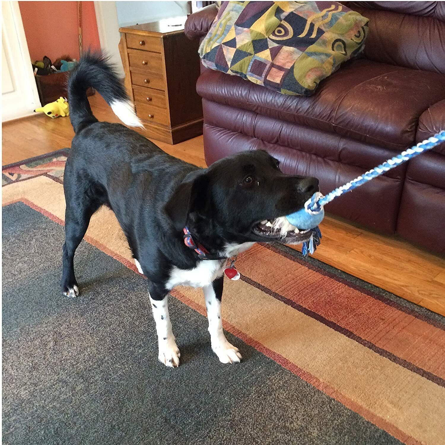 Outdoor Wand Rope Toy Dog Play Extendable Flirt Pole Training Chasing Chew Plush