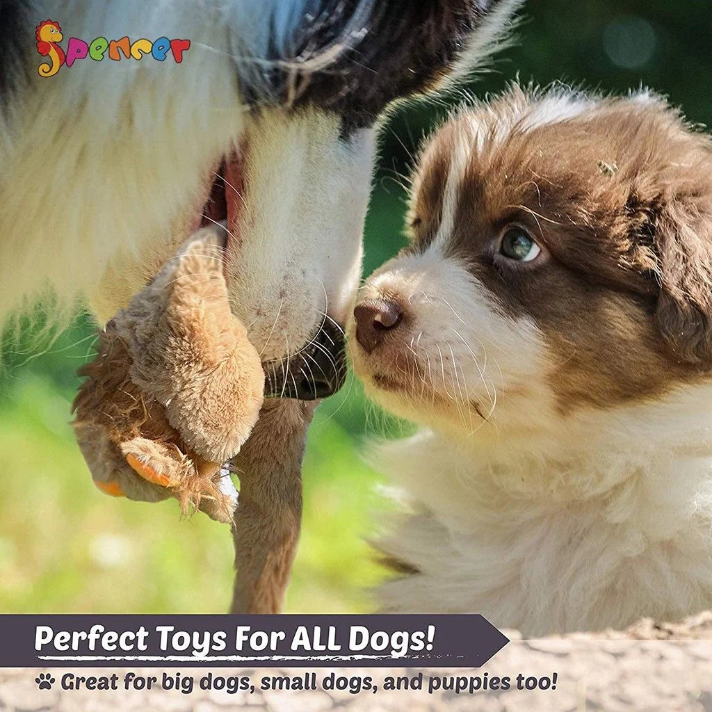 Dog Squeaky Toys for Puppies, No Stuffing Plush Squeaky Dog Chewing Toy Set Crinkle Dog Toy for Small Medium Large Dog Pets "Wolf"