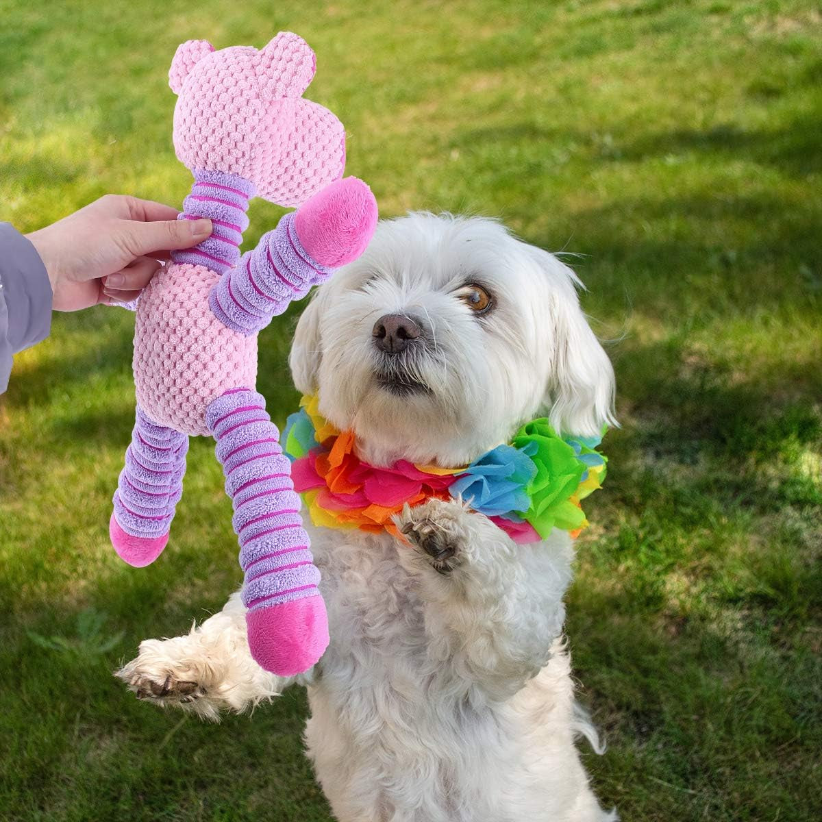 14-Inch Squeaky Plush Dog Toys, Stuffed Animal Plush Chew Toys with Squeakers - Durable Dog Chew Toys for Puppy Small Middle Dogs Reducing Boredom
