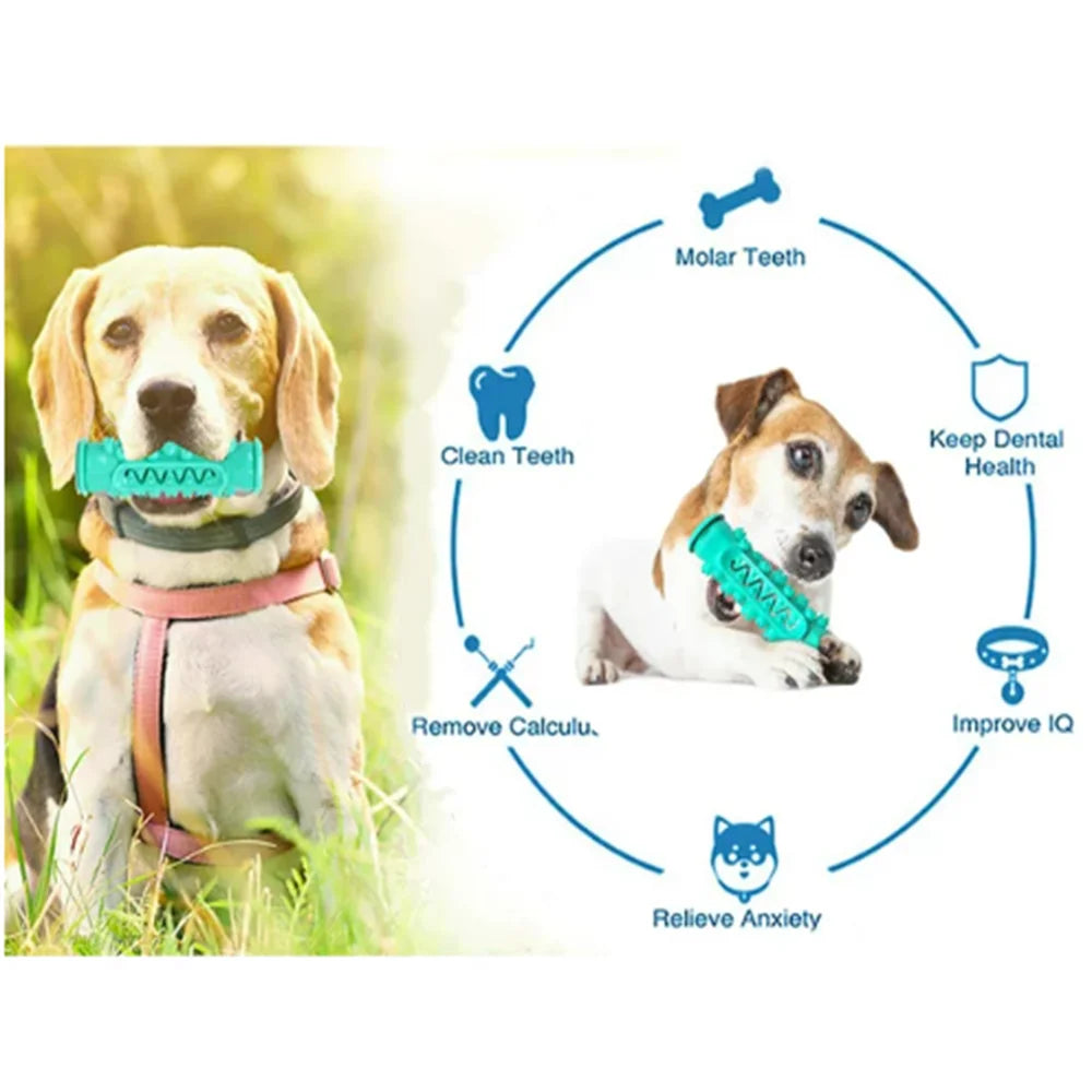 ZOUYUE Dog Toy for Aggressive Chewer Large Medium Nearly Indestructible Super Chew Dog Toys Squeaky Dog Birthday Toy Dog Toothbrush Interactive Tough Durable Dog Toys Natural Rubber(Blue)