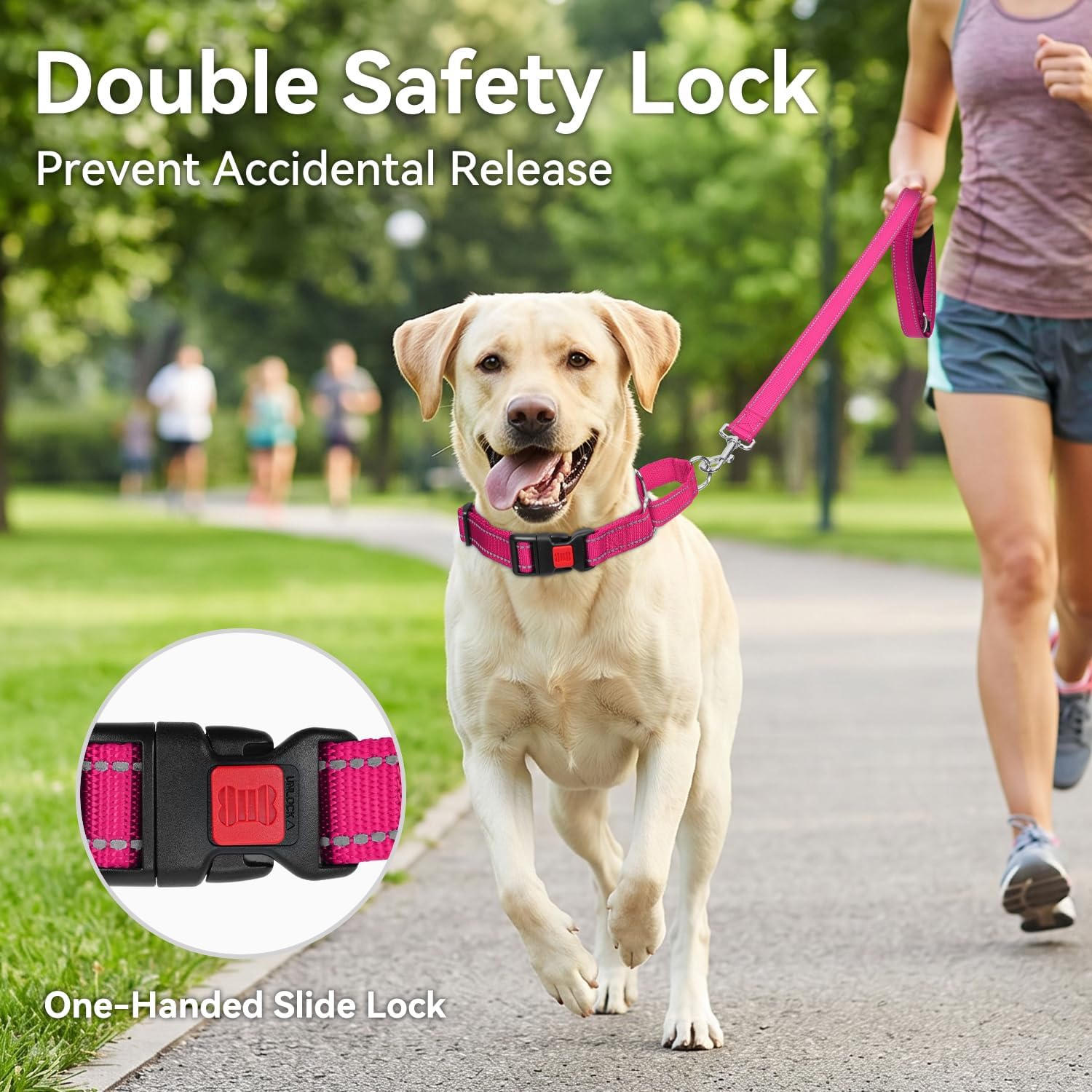 Martingale Collar for Dogs, Reflective Escape Proof Training Dog Collars with Safety Lock Buckle, No Slip Soft Nylon for Medium Pets, Hotpink, M
