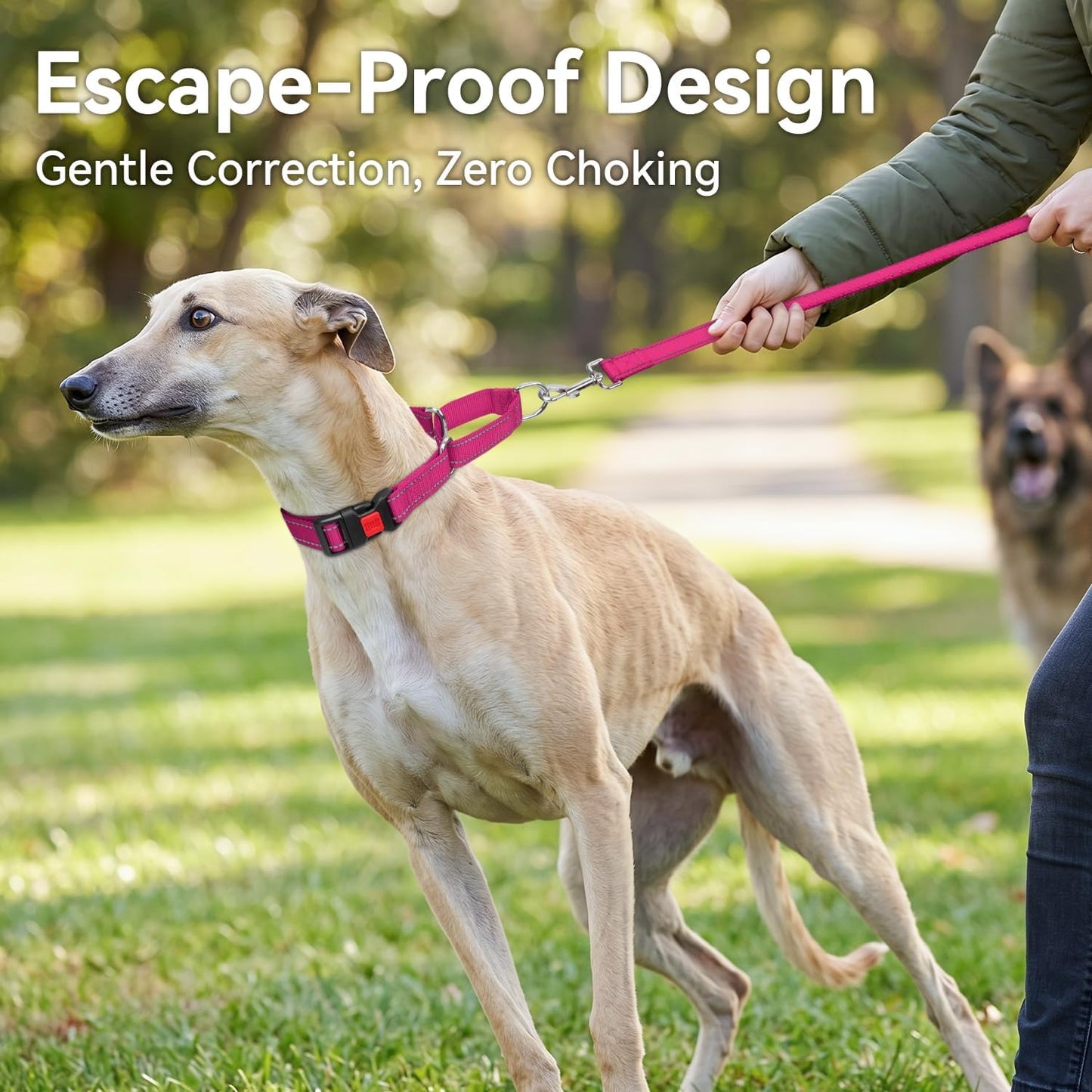 Martingale Collar for Dogs, Reflective Escape Proof Training Dog Collars with Safety Lock Buckle, No Slip Soft Nylon for Medium Pets, Hotpink, M