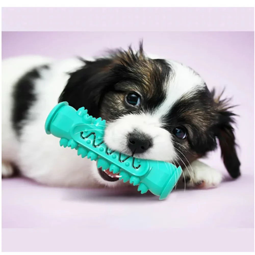 ZOUYUE Dog Toy for Aggressive Chewer Large Medium Nearly Indestructible Super Chew Dog Toys Squeaky Dog Birthday Toy Dog Toothbrush Interactive Tough Durable Dog Toys Natural Rubber(Blue)